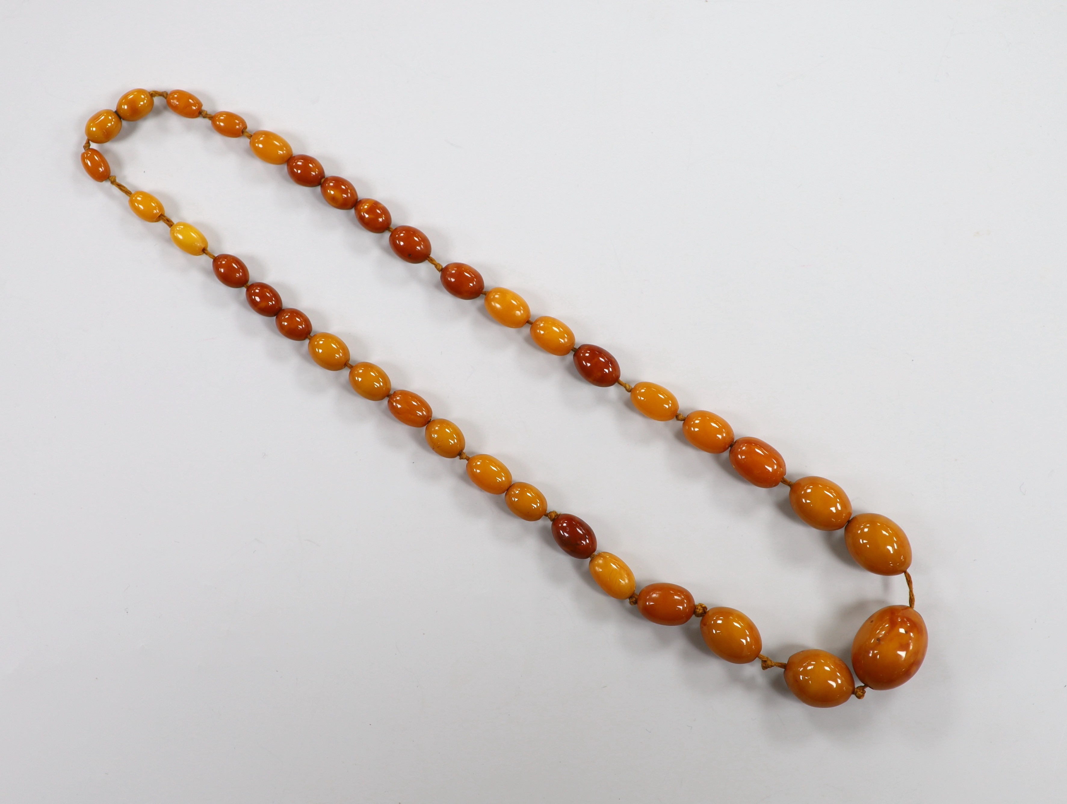 A single strand graduated amber bead necklace, 50cm, gross 31 grams.